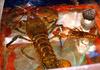 Lobster