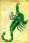 Scorpio
