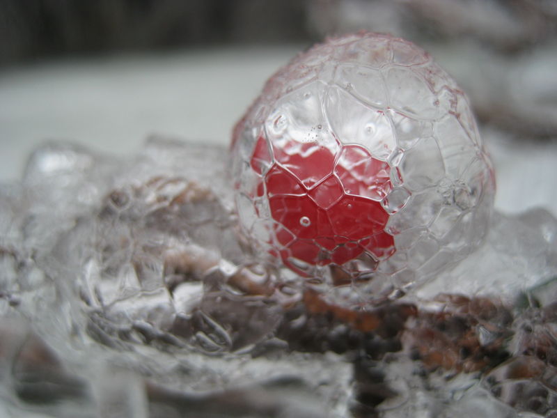 WinterIceStorm2008fw