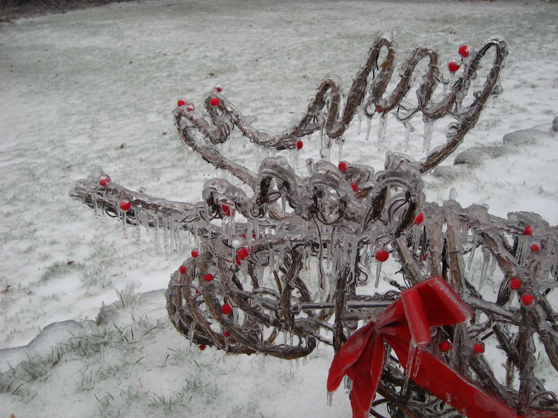 WinterIceStorm20085
