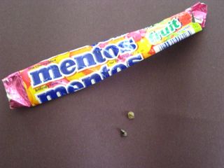 Mentos