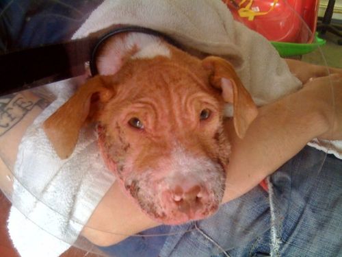 26774_118165818197577_118164941530998_292489_433157_n