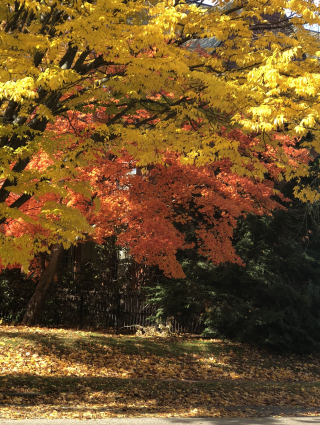 1D40E0BD-5A30-440F-9086-84BDABF95A3C