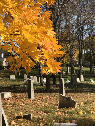 FBD924E9-BF99-415B-A1B0-8D1BB3F31DB7