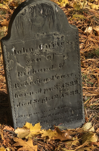 47513EF6-BAA5-4BC3-BB14-F39D5FEFBAE6