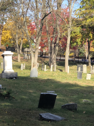 78B83A6A-125A-4BD5-B06A-F4C5303A432E