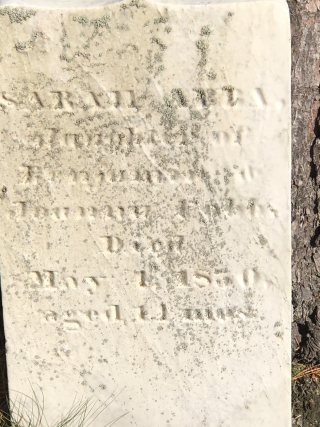 78B83A6A-125A-4BD5-B06A-F4C5303A432E