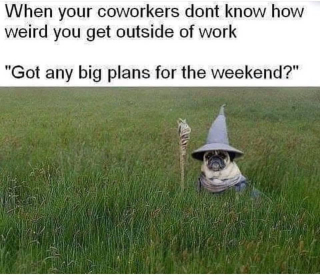 C0A60604-FB7D-450F-BD94-B25BEE1BC86A