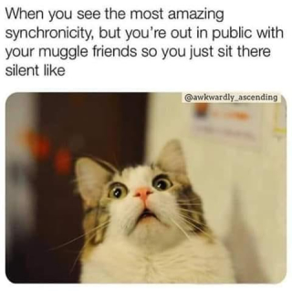 C0A60604-FB7D-450F-BD94-B25BEE1BC86A