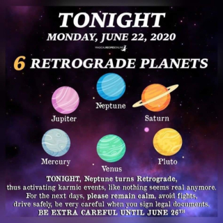 105357327_2733211696892522_5281603813518576847_n